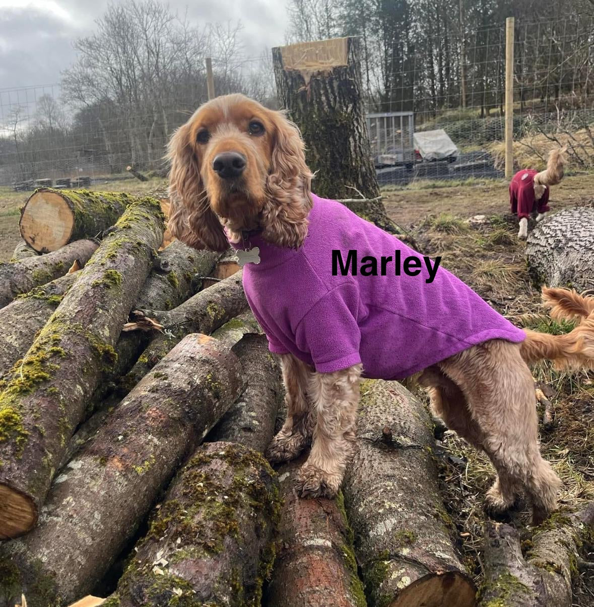 The Dog Fleece Jumper