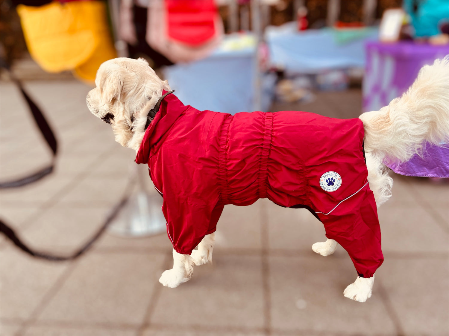 Mat Free - Doodle Care