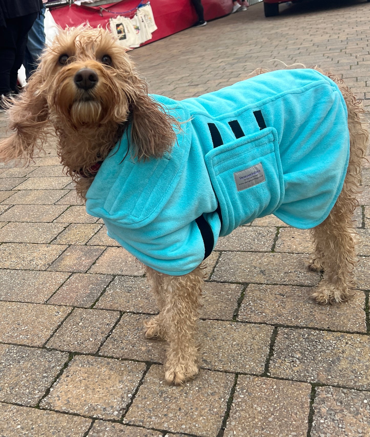 Premium Dog Drying Coat , Bathrobe