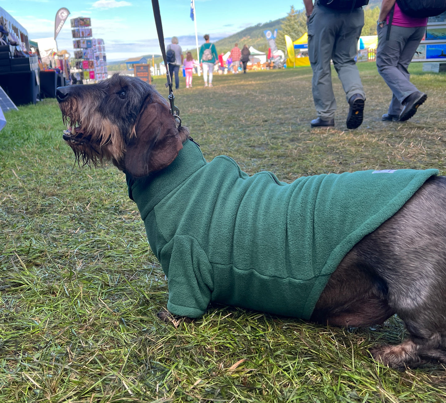 Dog Fleece Jumper with Zipper, Front Legs