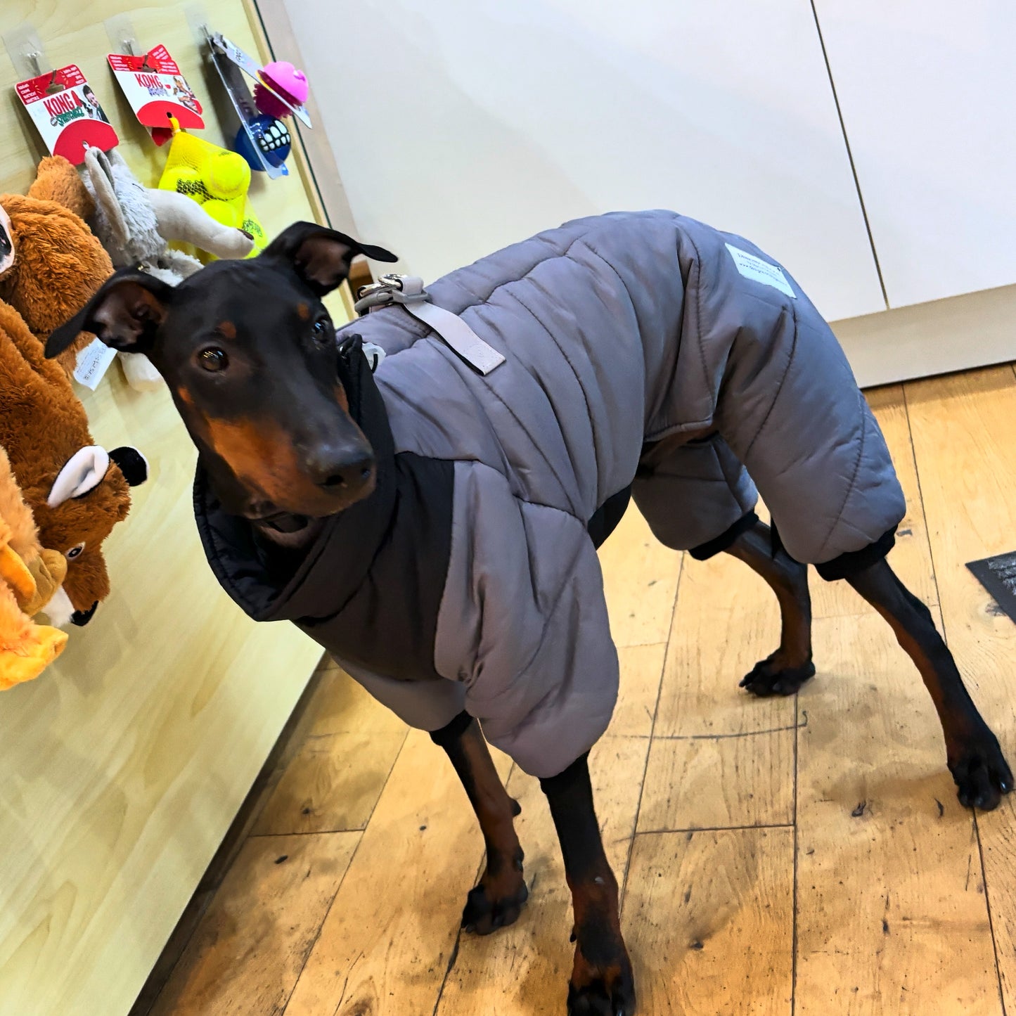 Winter Snowsuit - Small Dog Collection