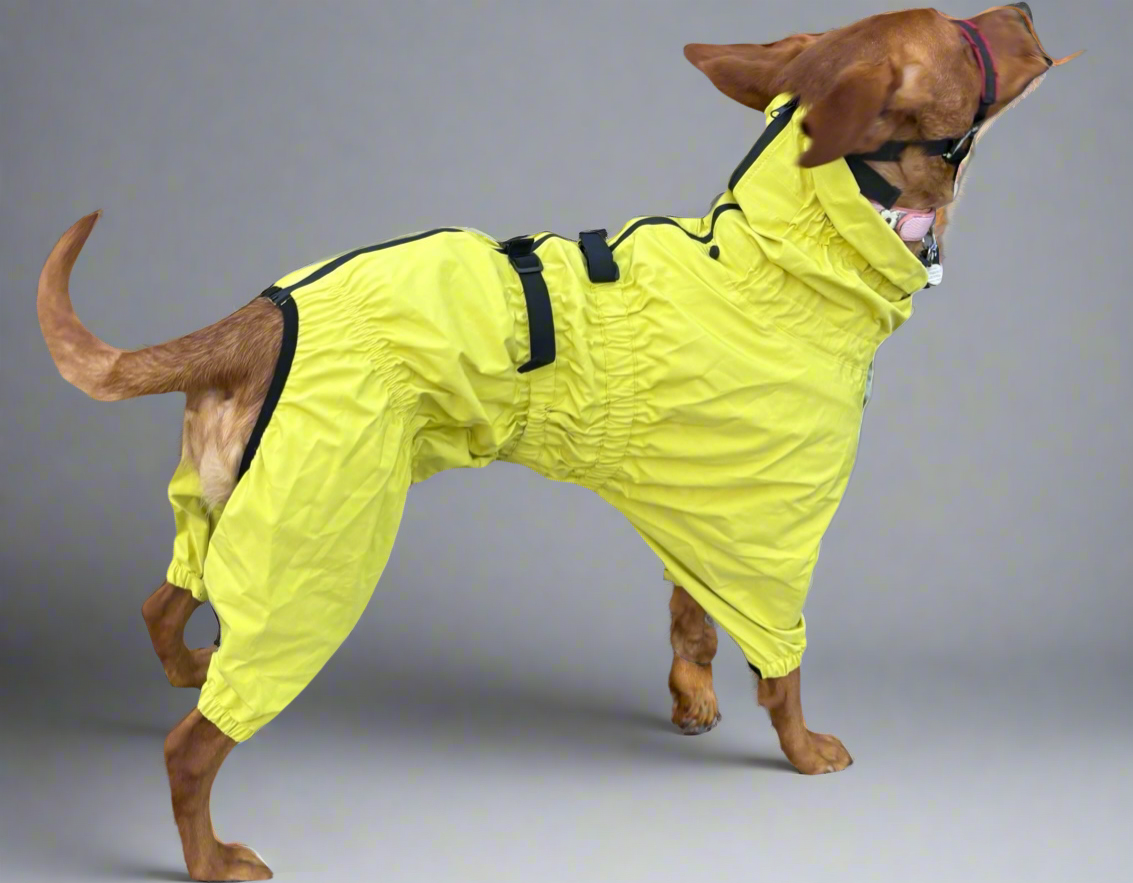 Premium Waterproof Puddlesuit - No Matting