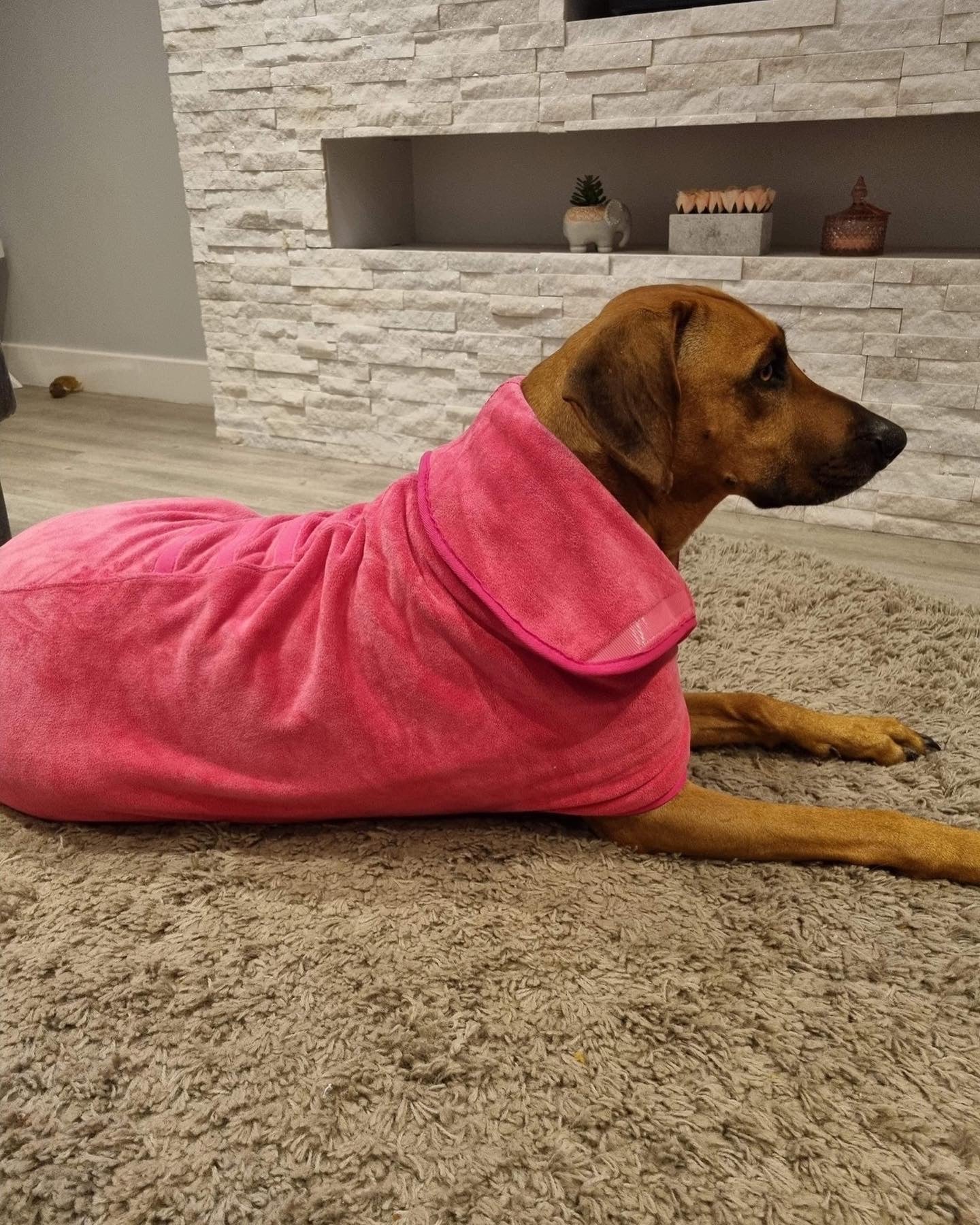 Premium Dog Drying Coat , Bathrobe