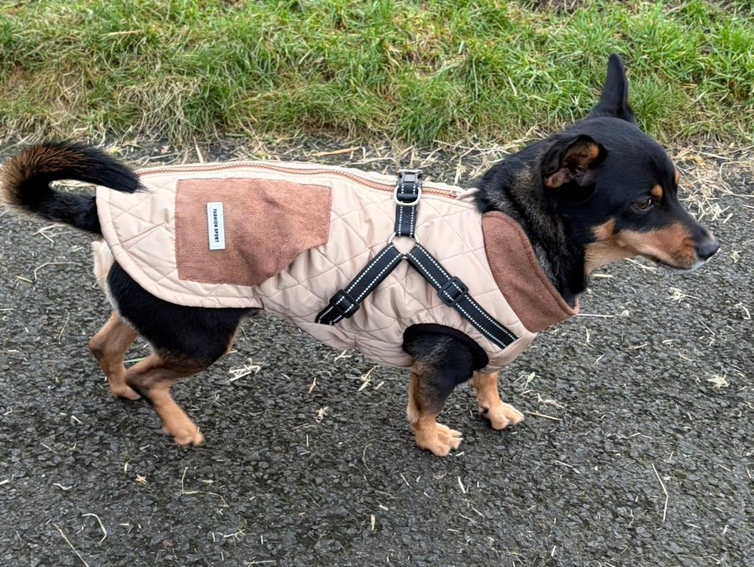 Small Dog Harness Coats