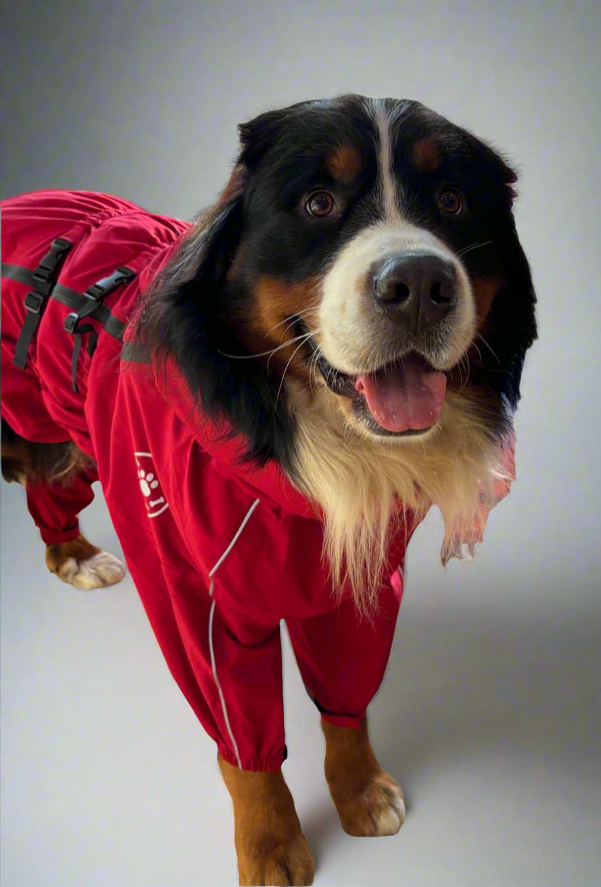 Premium Waterproof Puddlesuit - No Matting