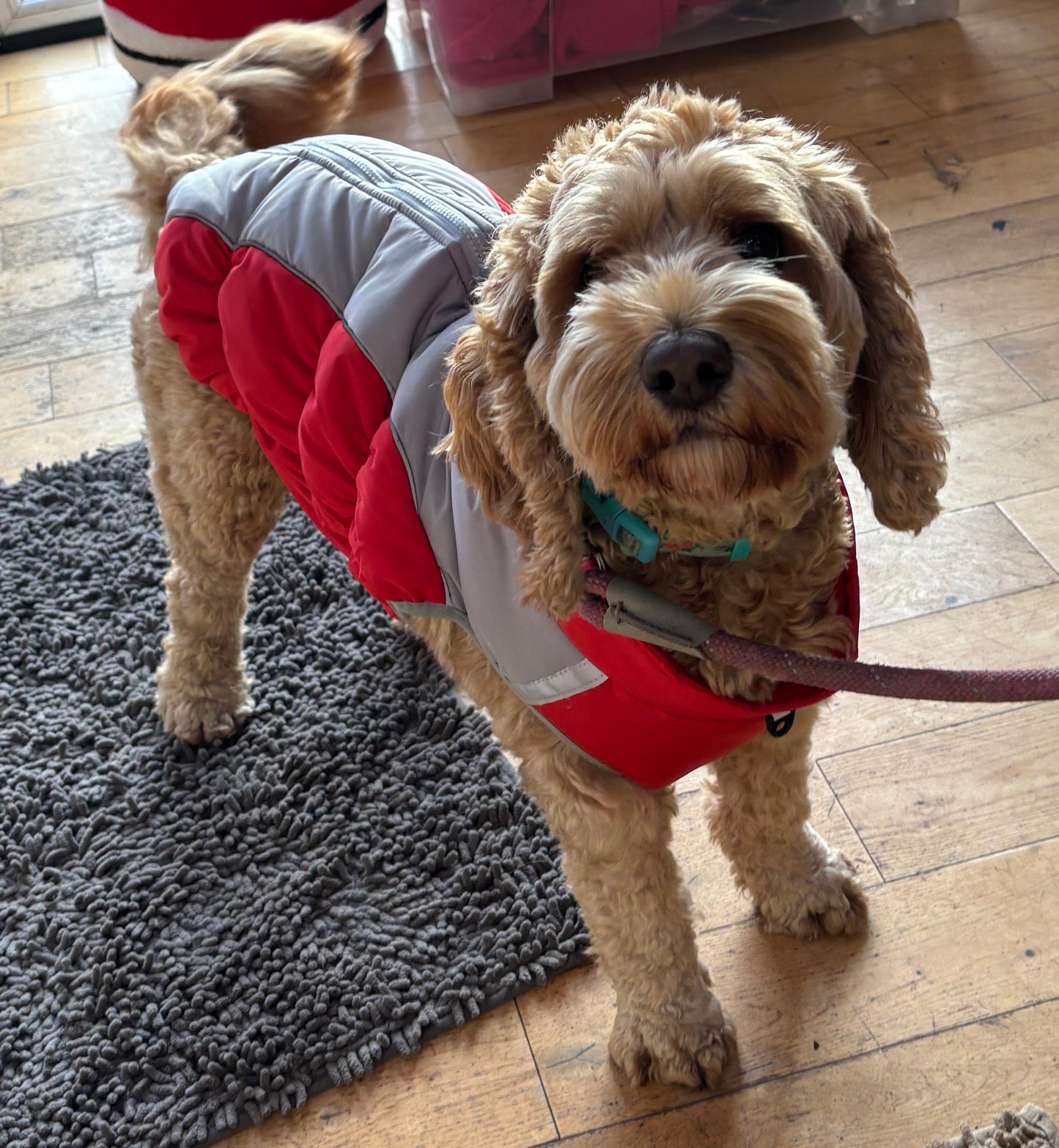 Soft Padded Ski Jacket. Waterproof, Warm, Easy fit, No Matting.