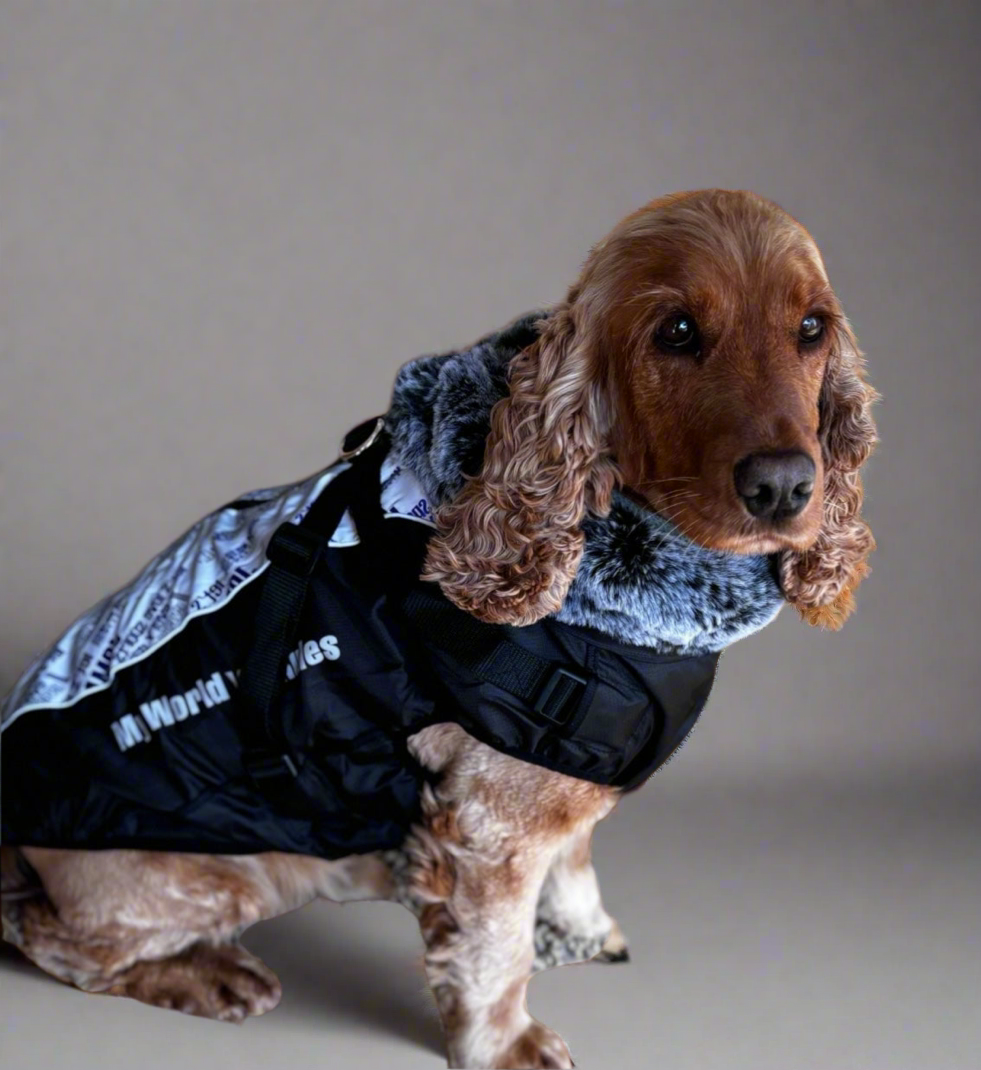 Winter , waterproof raincoat with harness
