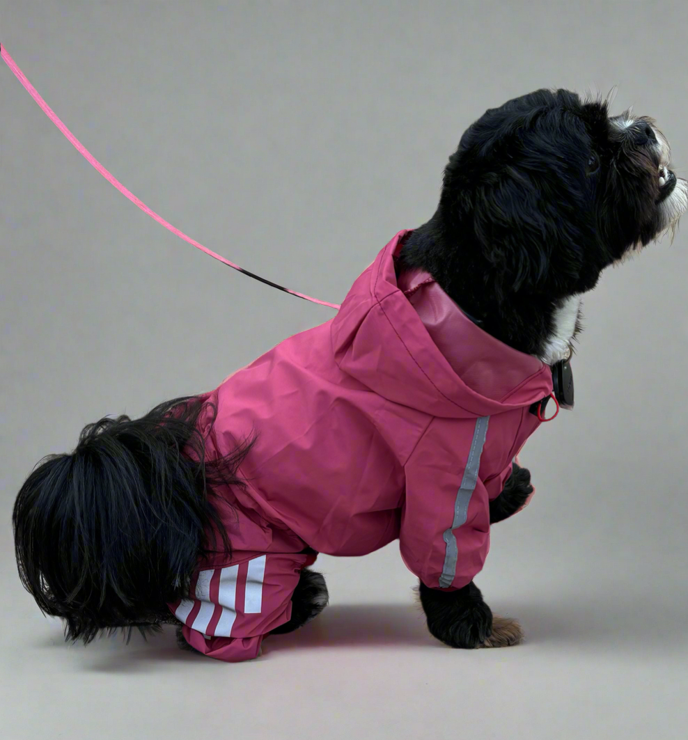 Small Dog Puddlesuit - No Matting