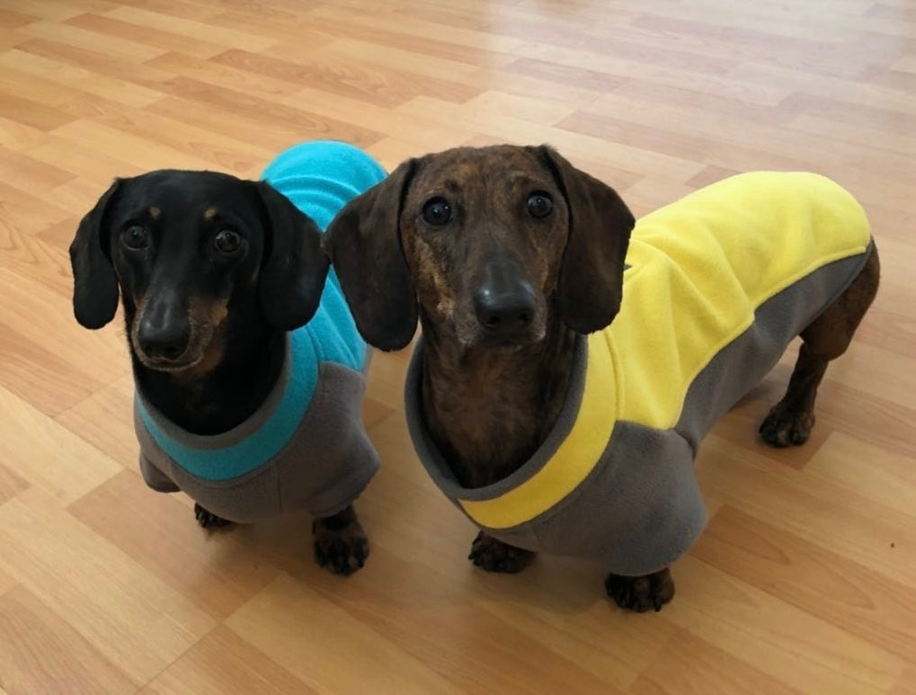 Fleece Jumper for Small Dogs - Cosy and water wicking