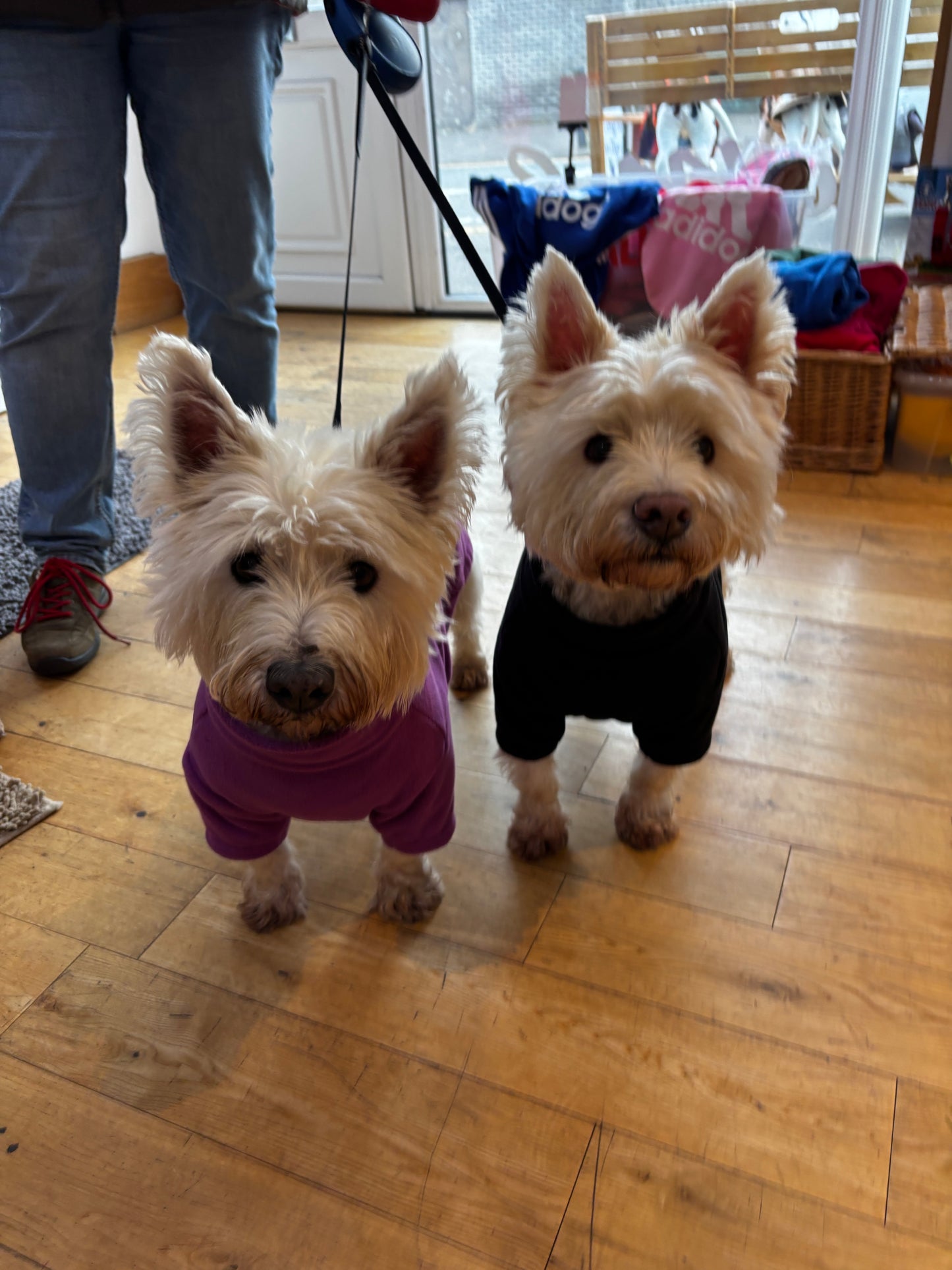 Dog Fleece Jumper with Zipper, Front Legs