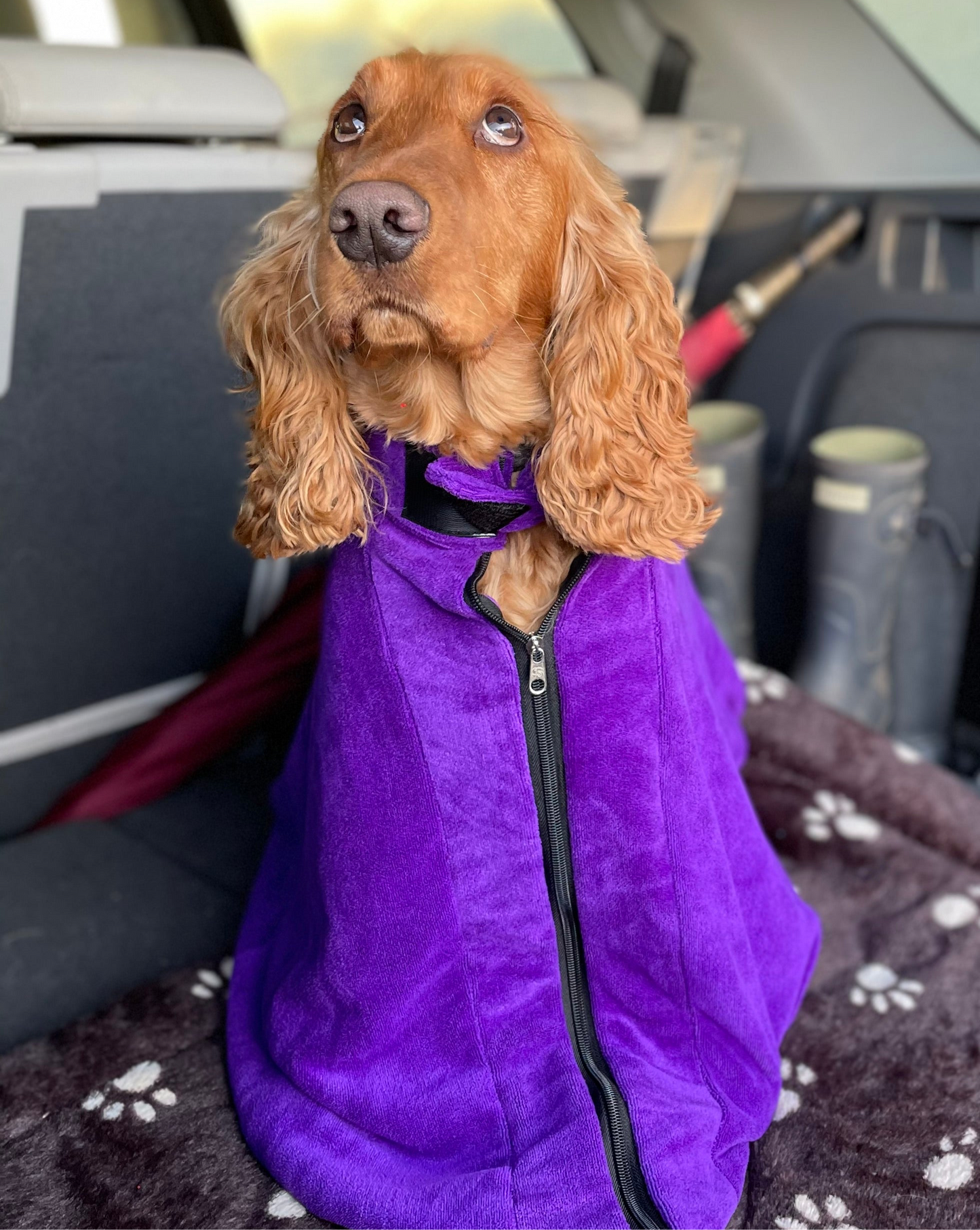 Dog Dry Bag for Car or Home - Protect your Car interior from Dirt, Sand & Leaves