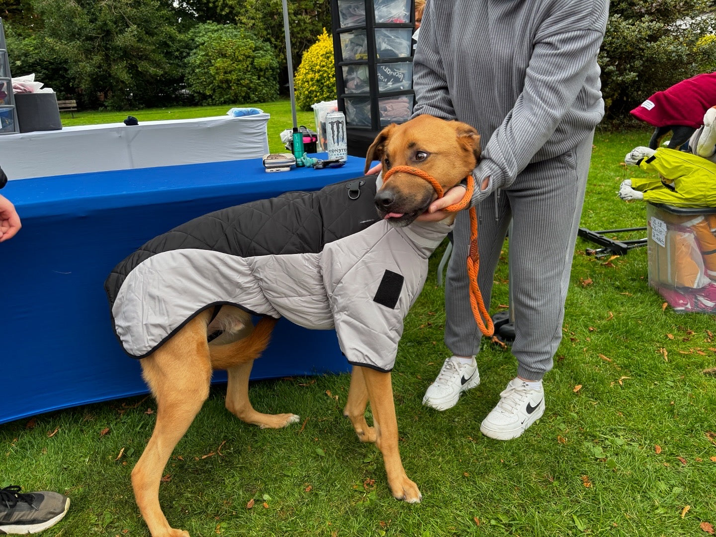Quilted Rainsuit - No Matting. Integrated Harness