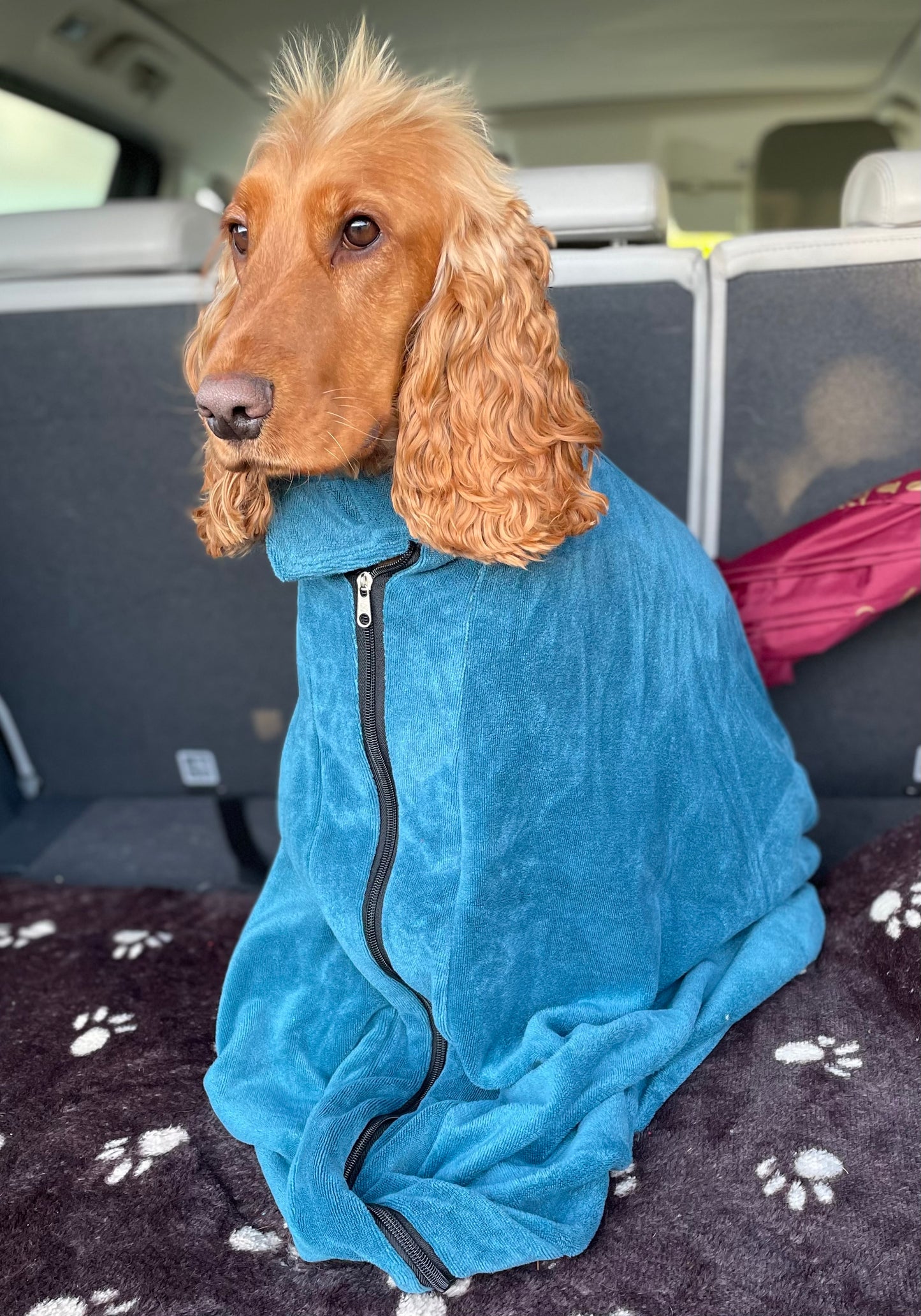 Dog Dry Bag for Car or Home - Protect your Car interior from Dirt, Sand & Leaves