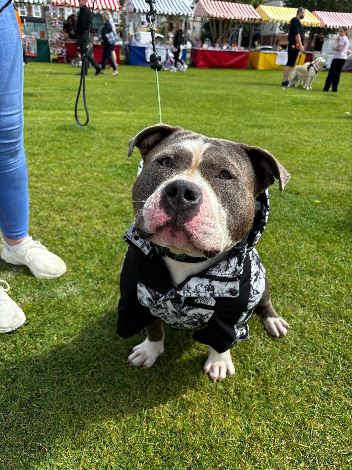 Dog Kagool - water resistant, lightweight and no matting