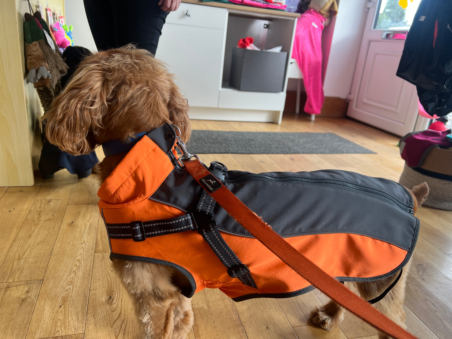 Harness Coat in Soft Shell with Stretch - For larger dogs