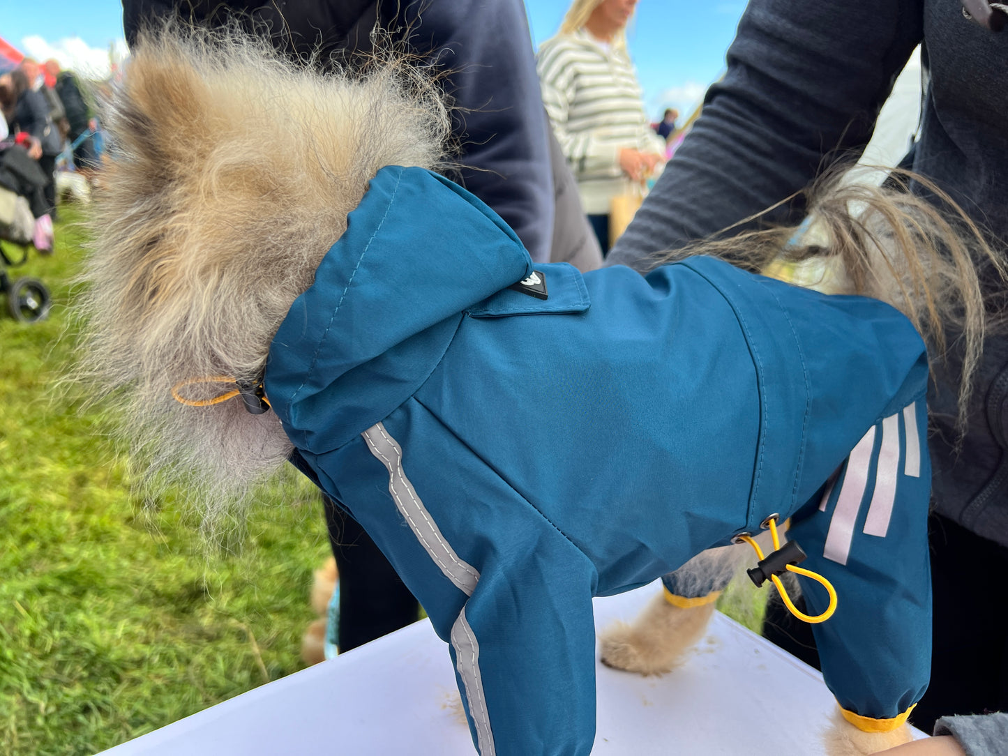 Small Dog Puddlesuit - No Matting