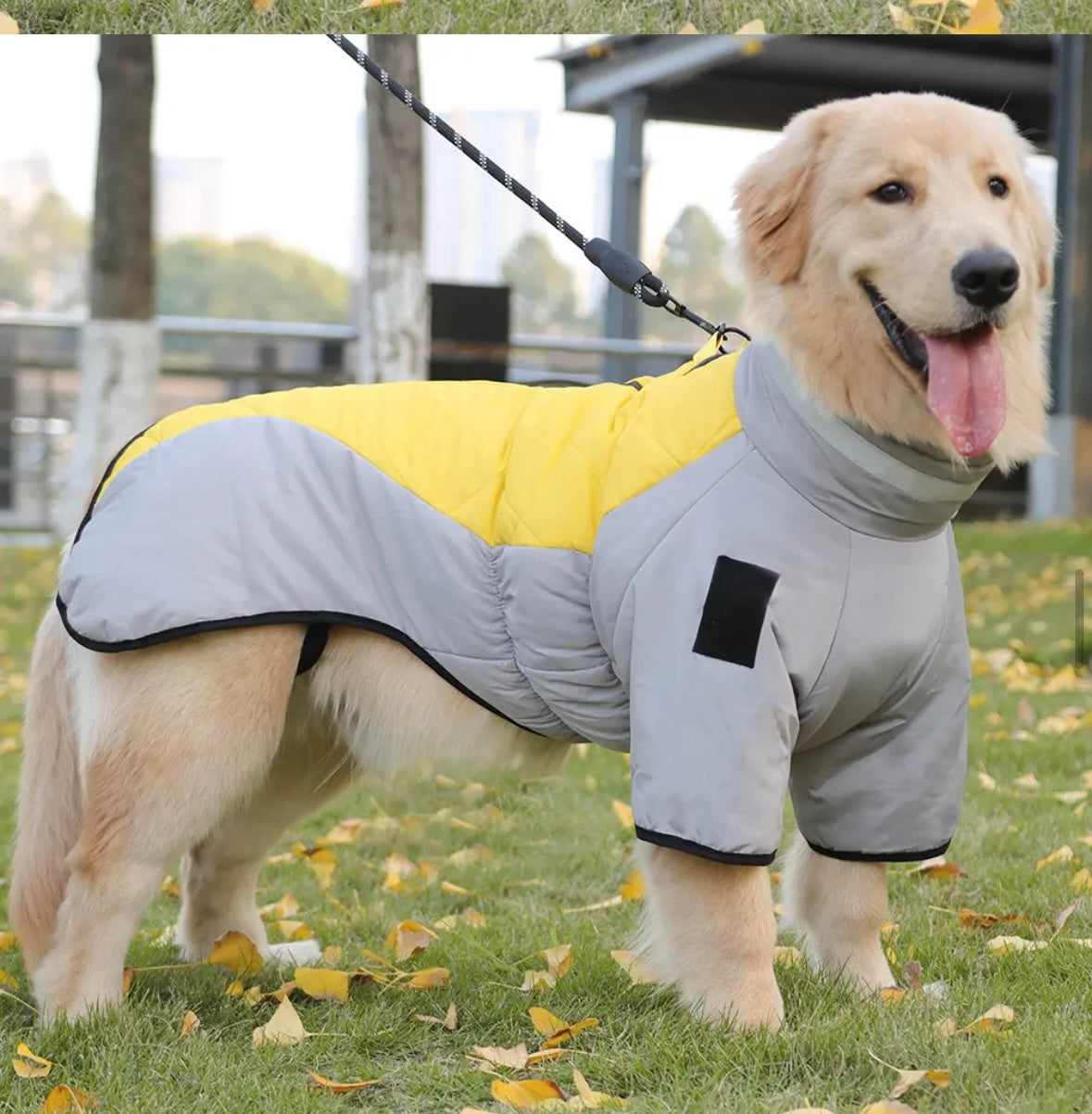 Quilted Rainsuit - No Matting. Integrated Harness