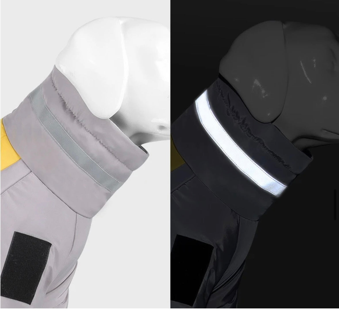 Quilted Rainsuit - No Matting. Integrated Harness