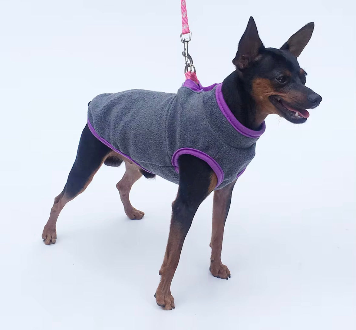 Small Dog Spring Fleece