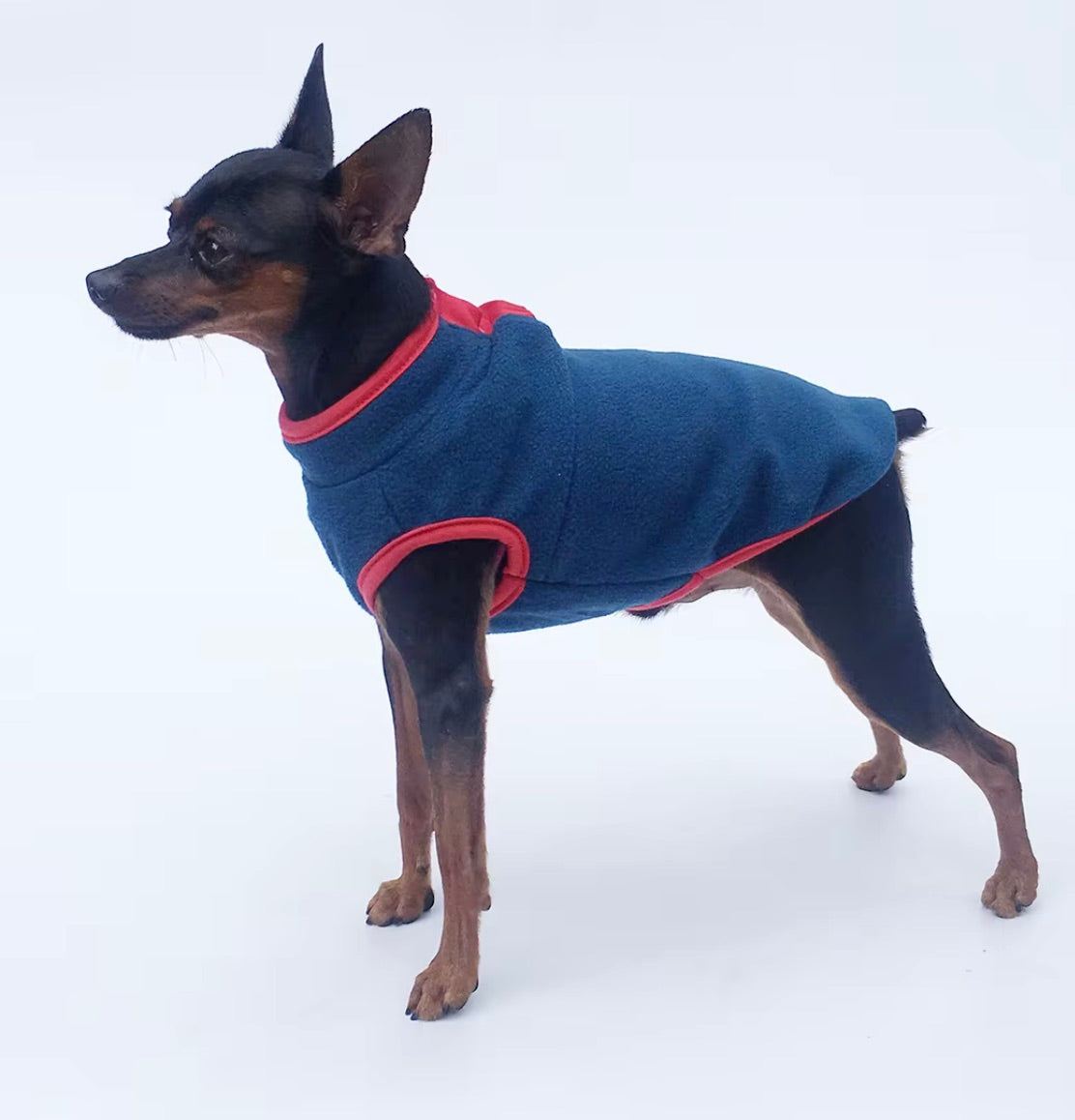 Small Dog Spring Fleece