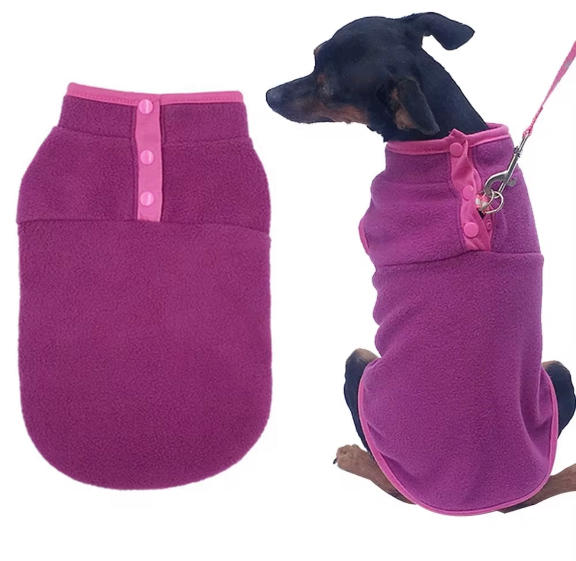 Small Dog Spring Fleece