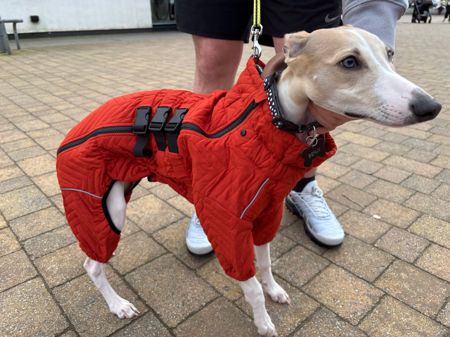 Lightly Padded Puddlesuit - Ideal for dogs that feel the cold