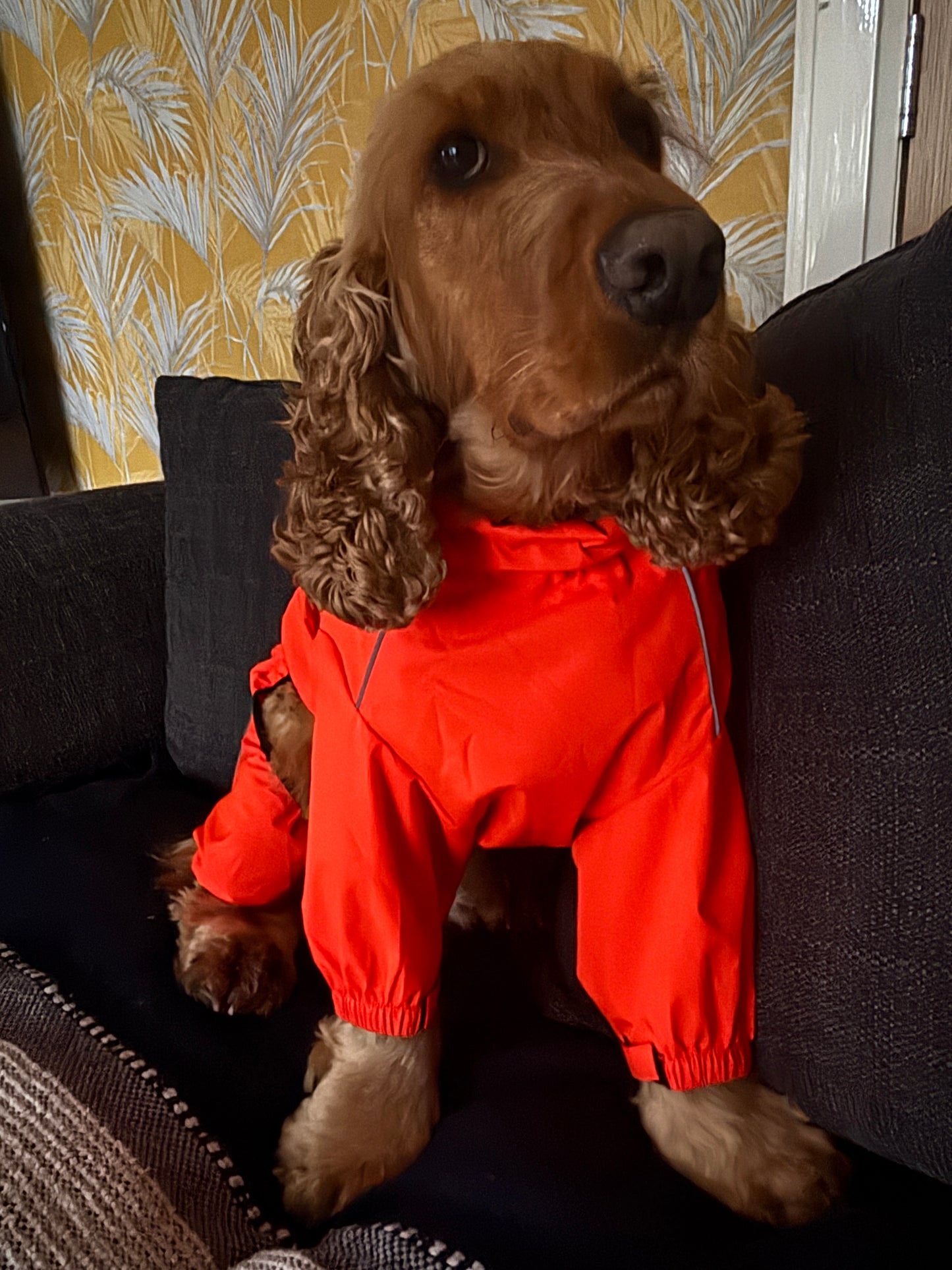 Premium Waterproof Puddlesuit - No Matting
