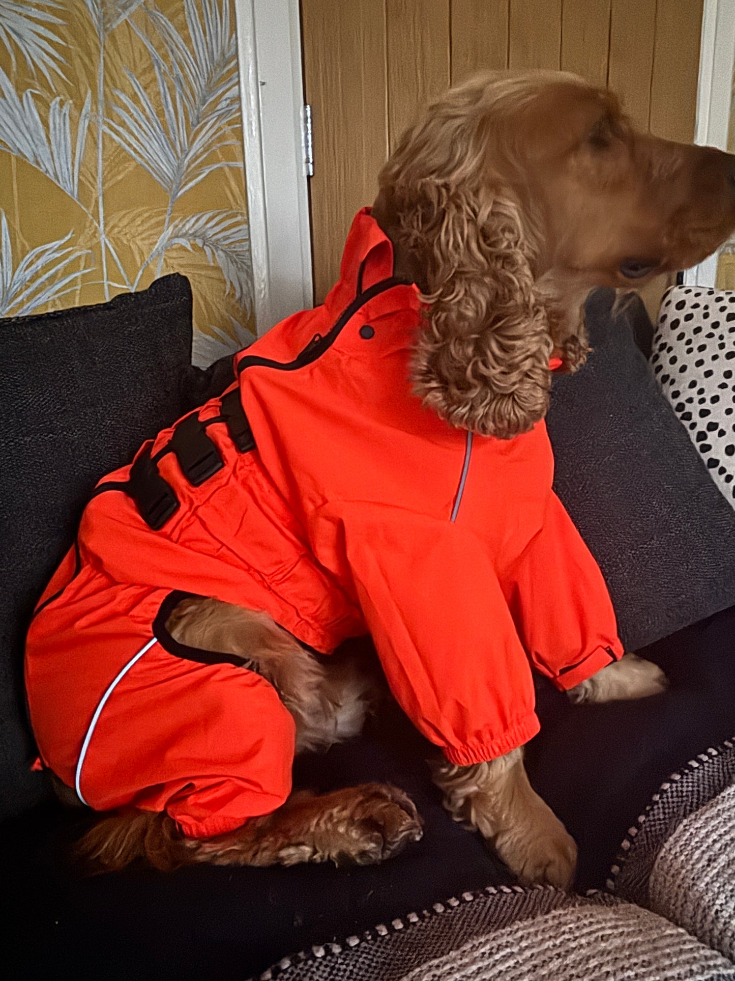 Premium Waterproof Puddlesuit - No Matting