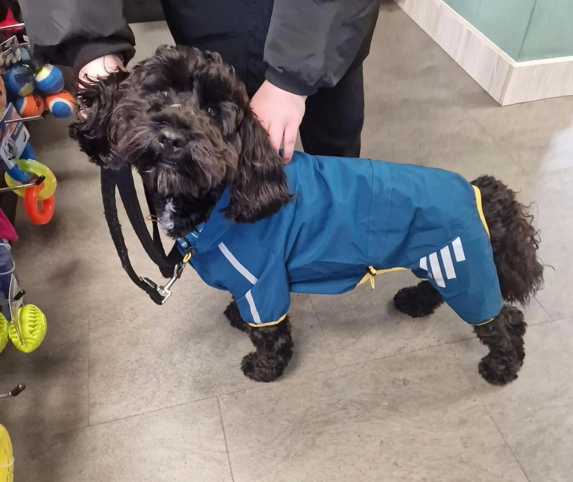 Small Dog Puddlesuit - No Matting
