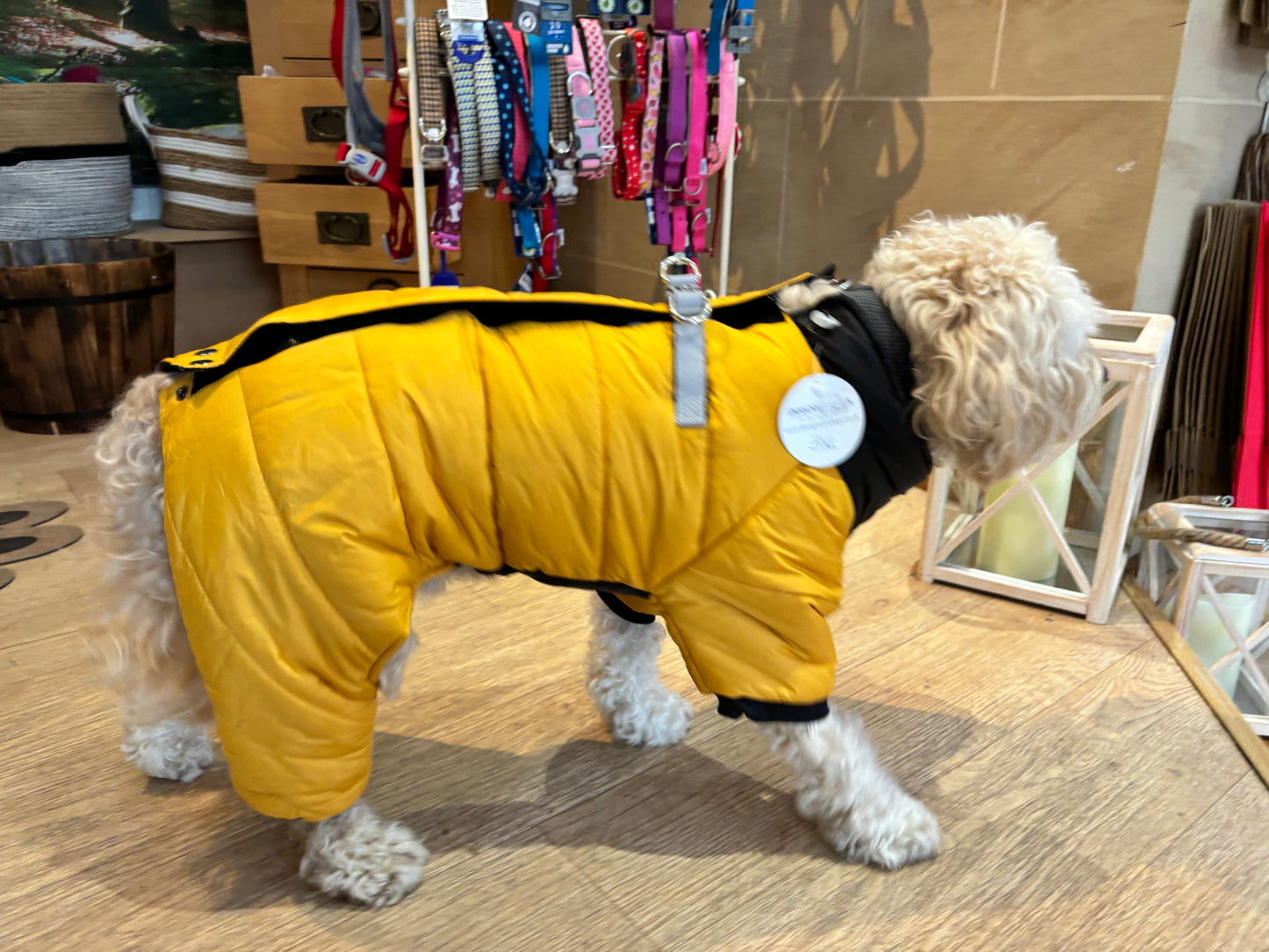 Winter Snowsuit - Small Dog Collection