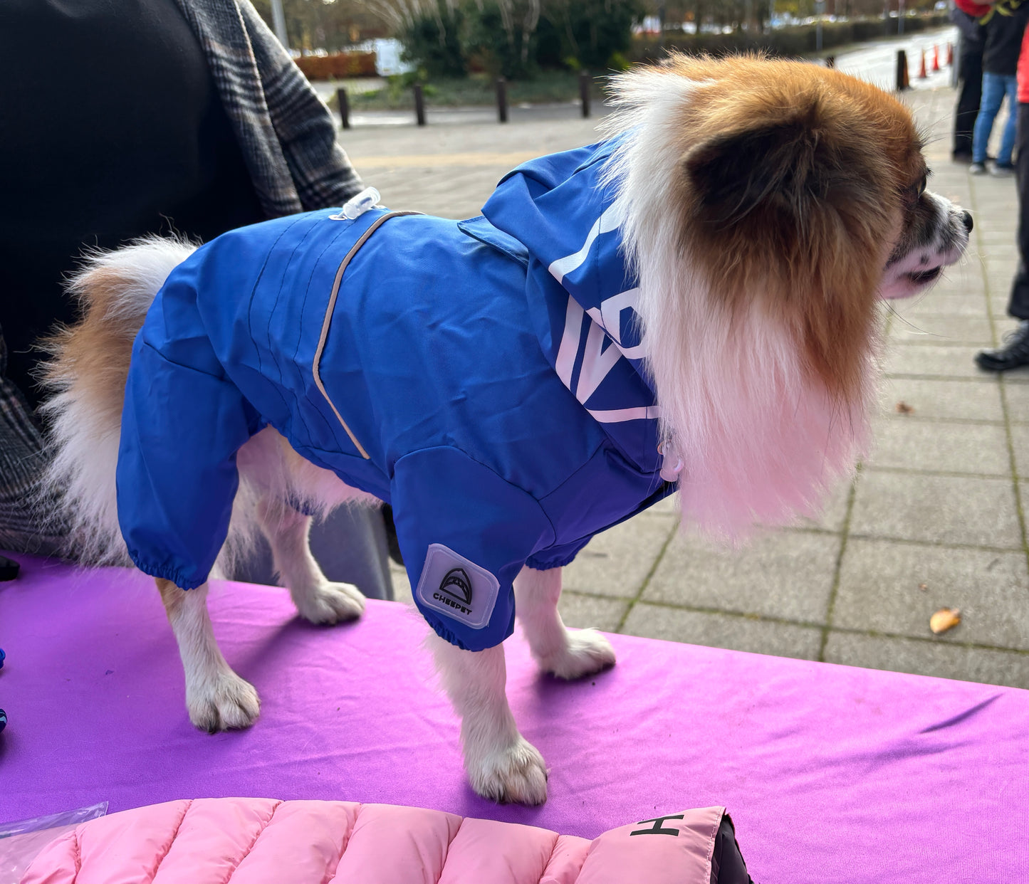 Small Dog Puddlesuit - No Matting
