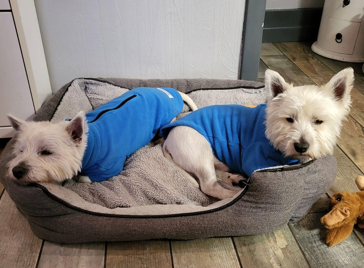 Dog Fleece Jumper with Zipper, Front Legs