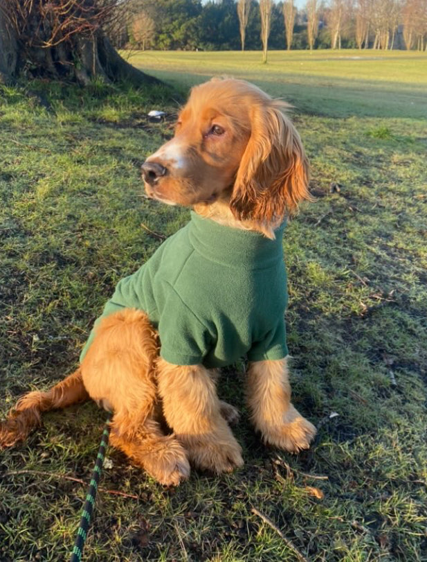 Dog Fleece Jumper with Zipper, Front Legs