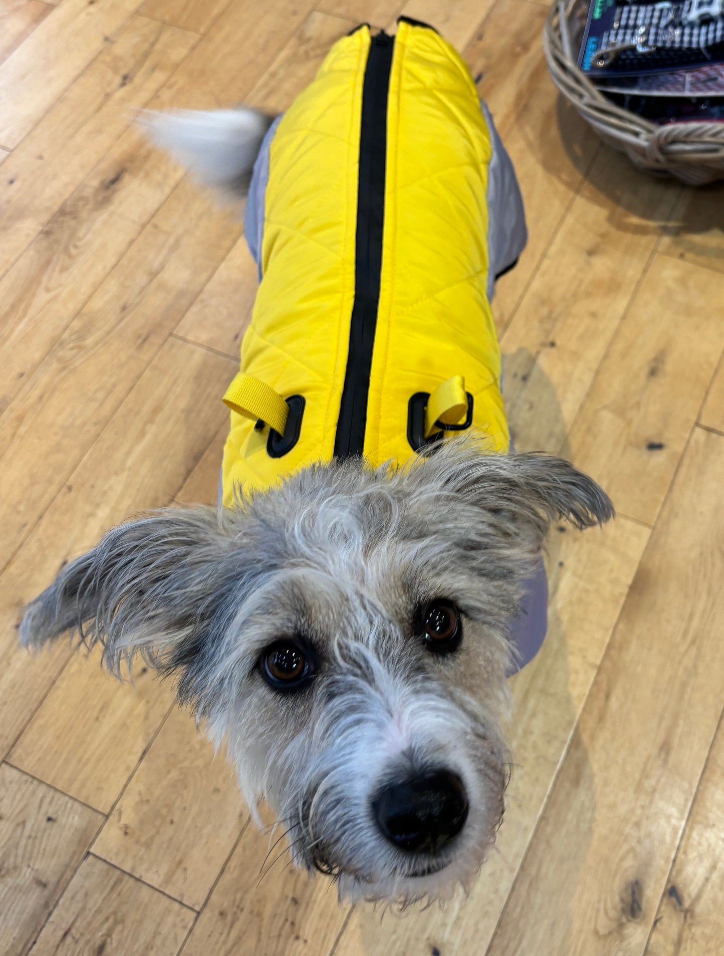 Quilted Rainsuit - No Matting. Integrated Harness