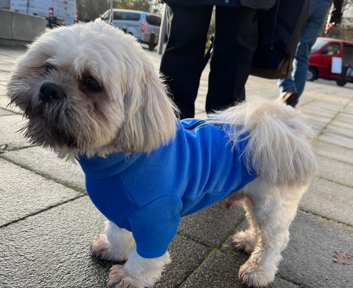 Dog Fleece Jumper with Zipper, Front Legs