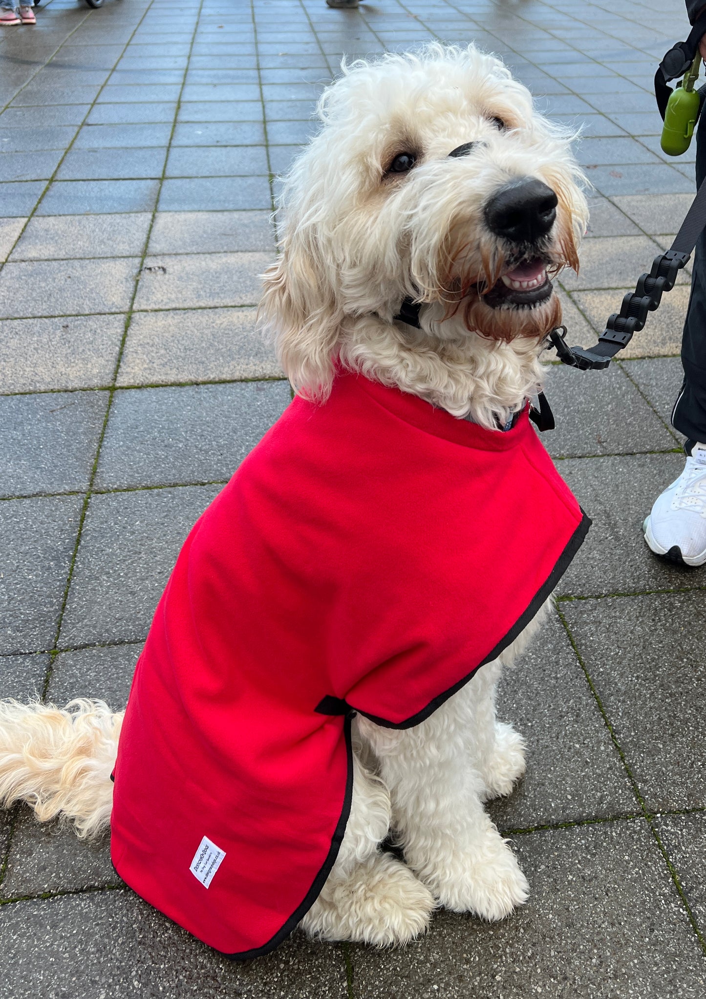 Quick Fit Fleece Coat - Ideal for Protection on last minute walks