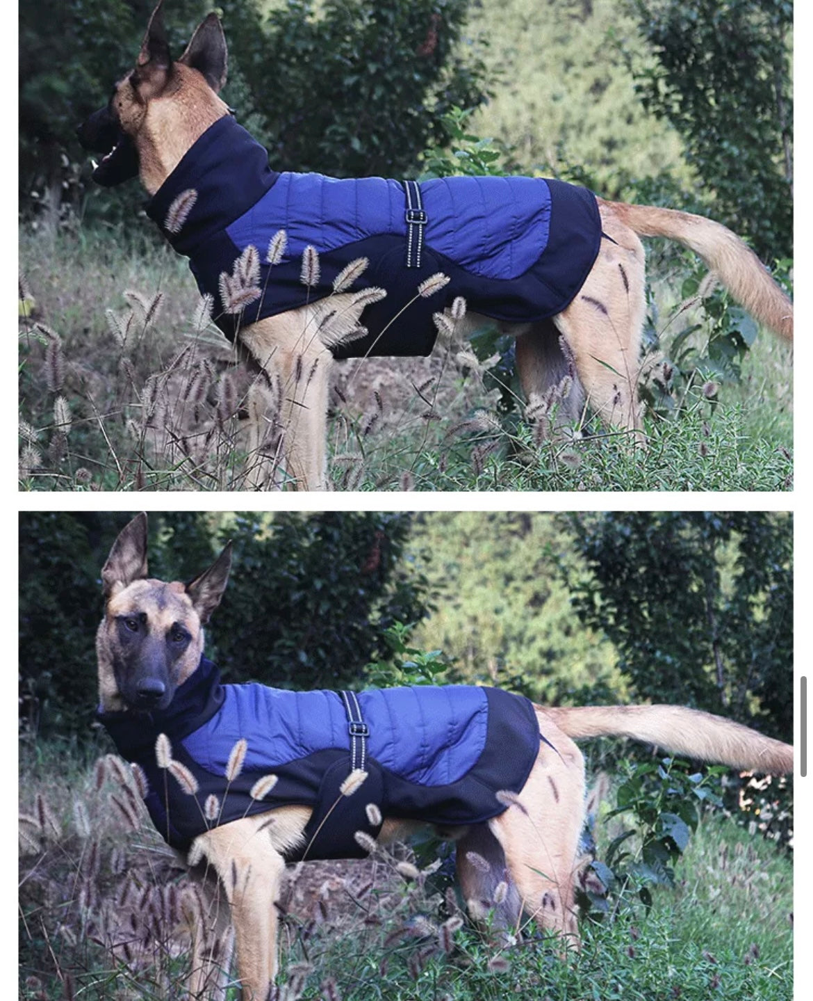 Stylish Coat for Large Dogs. Easy Fit, Built -In Harness