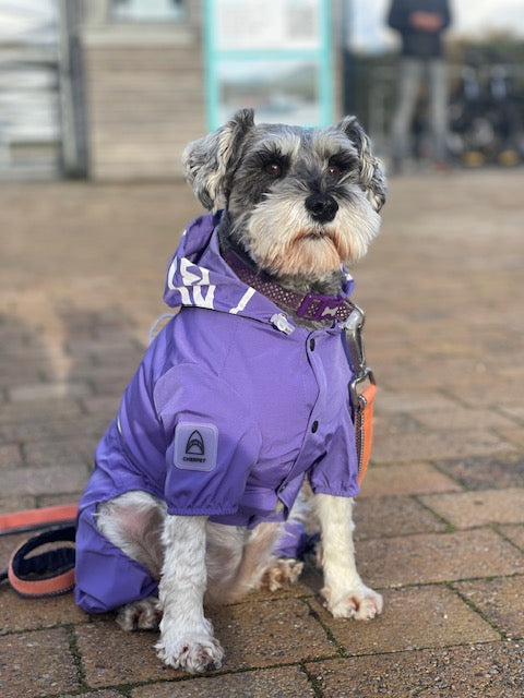 Small Dog Puddlesuit - No Matting