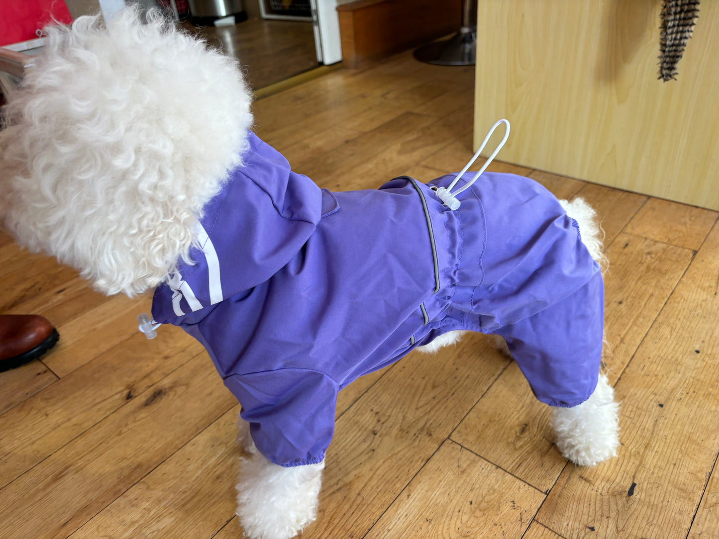 Small Dog Puddlesuit - No Matting