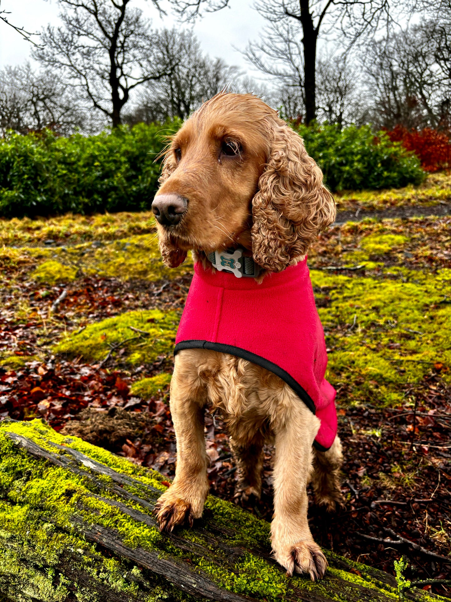 Quick Fit Fleece Coat - Ideal for Protection on last minute walks