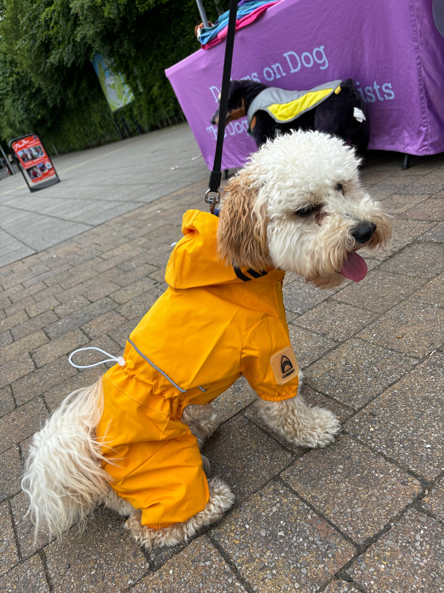 Small Dog Puddlesuit - No Matting