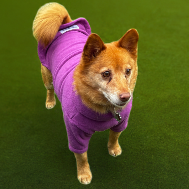 Dog Fleece Jumper with Zipper, Front Legs