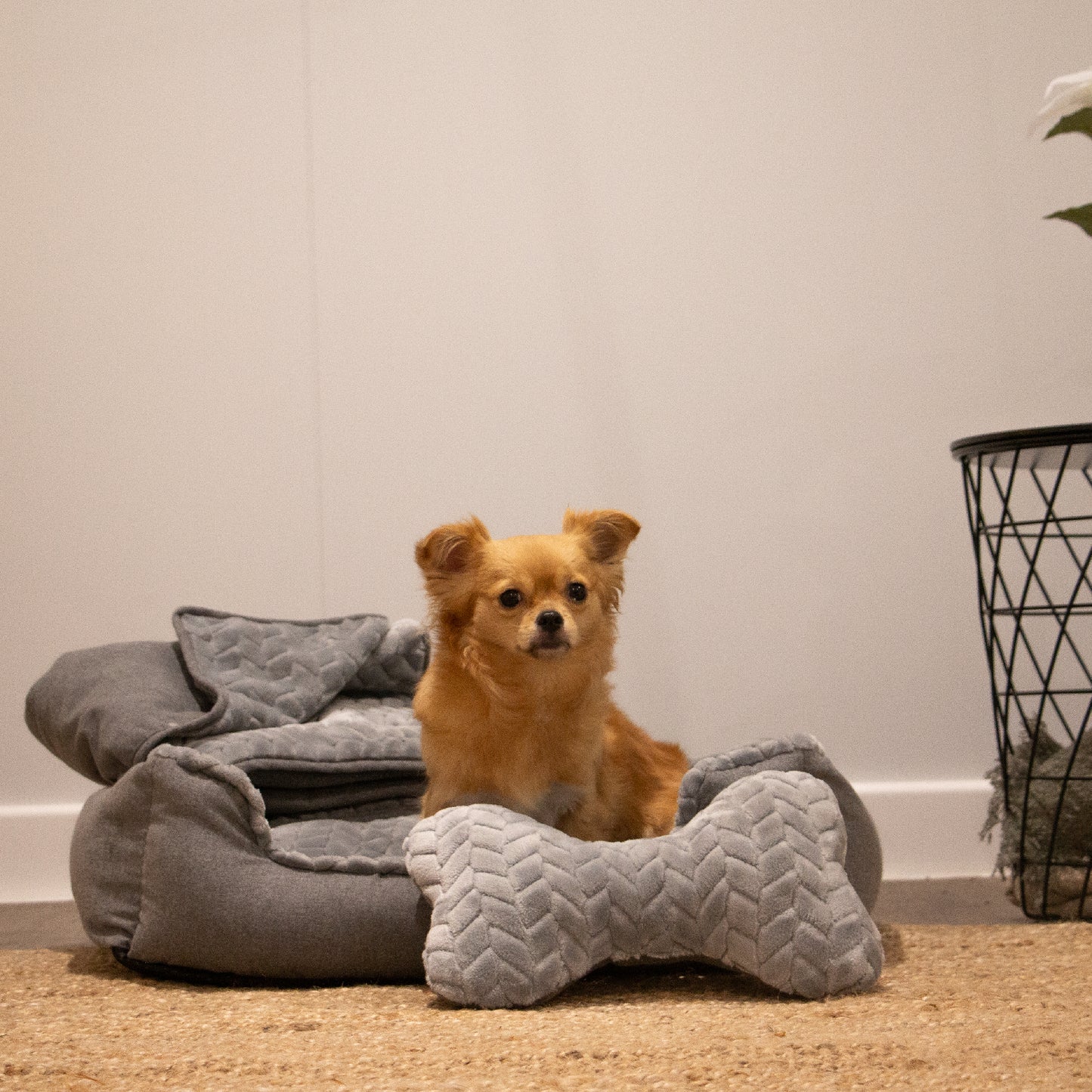Small Dogs Made From Dog Bed Set 60x50cm