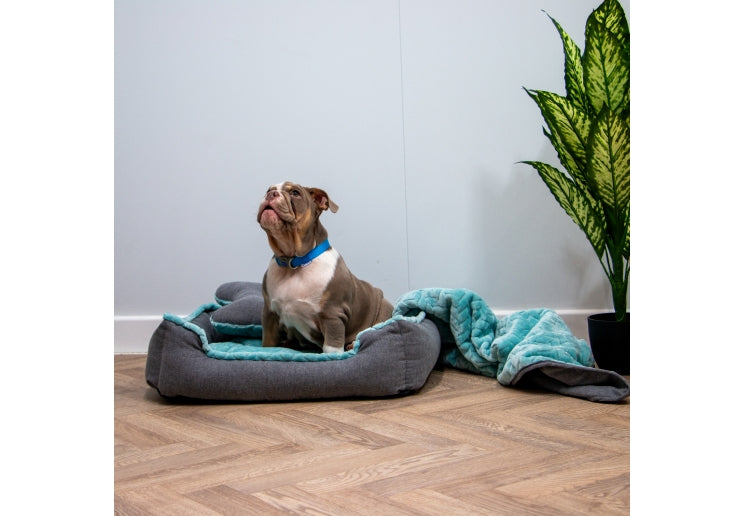 Small Dogs Made From Dog Bed Set 60x50cm
