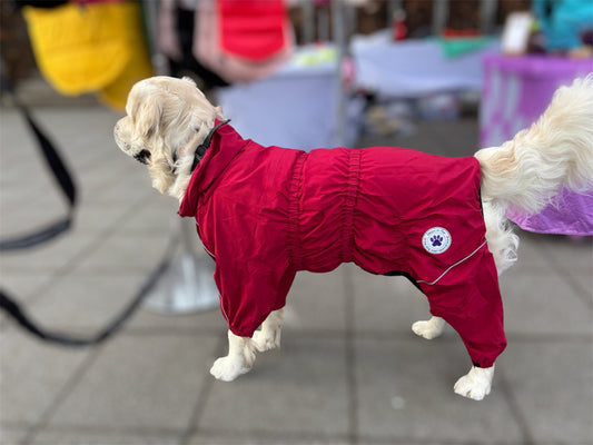 The Dog Doesn't Need a Coat - We've all Heard That