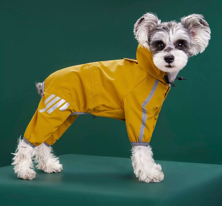 Small Dog Puddlesuits