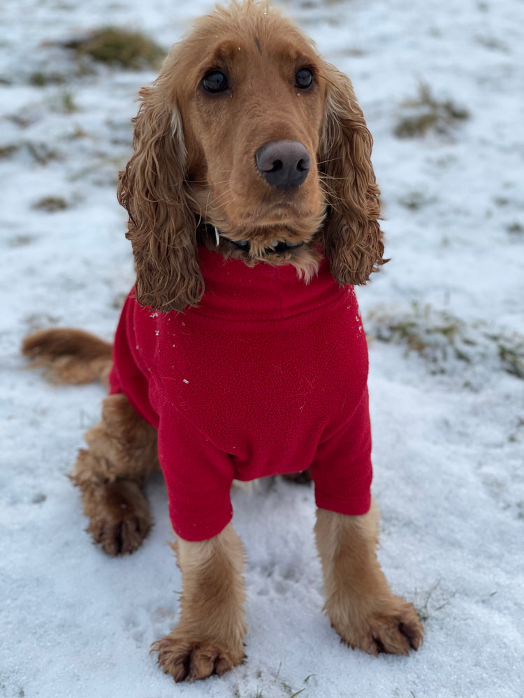 Winter Weather Coats