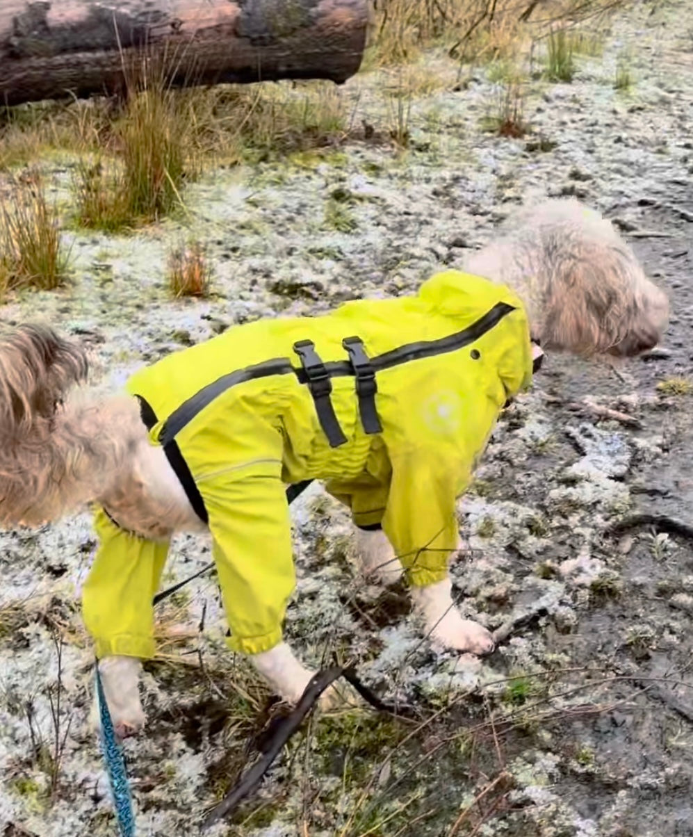 Premium Waterproof Puddlesuit - No Matting