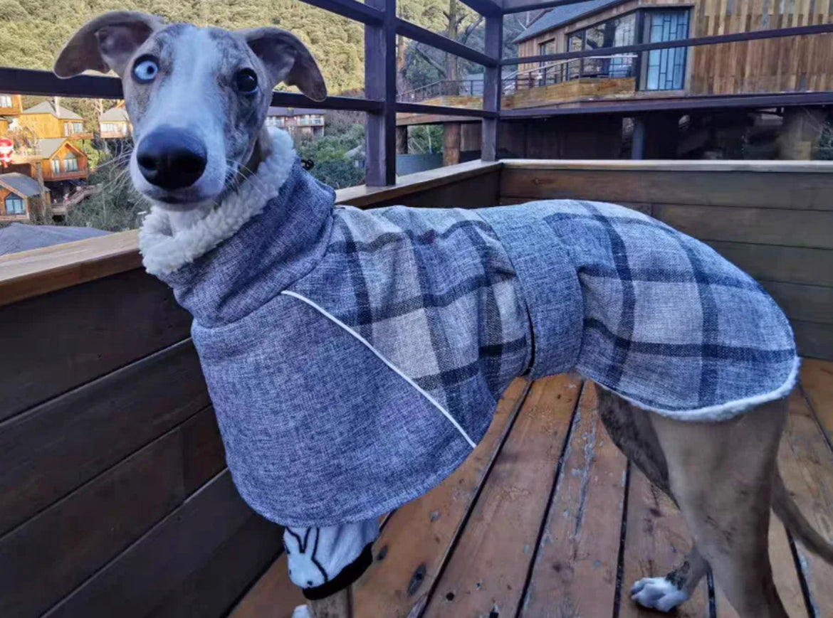 Long Cozy coat Whippets & Greyhound