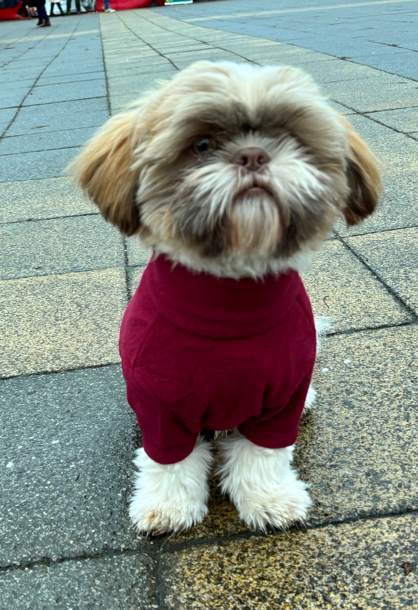 Fleece Jumper with Zipper,  Front Legs